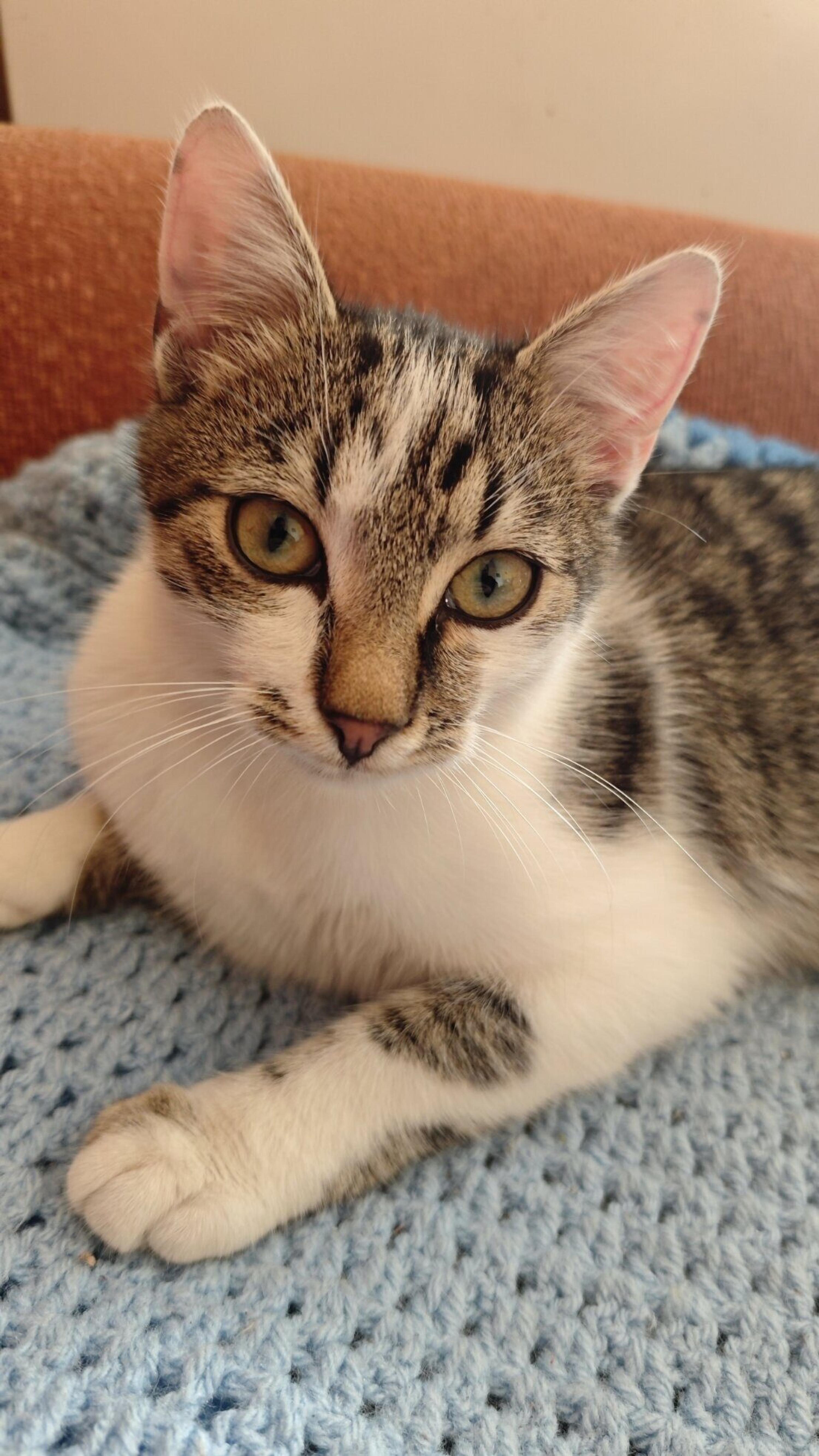 Zdjęcie w tle piotrek